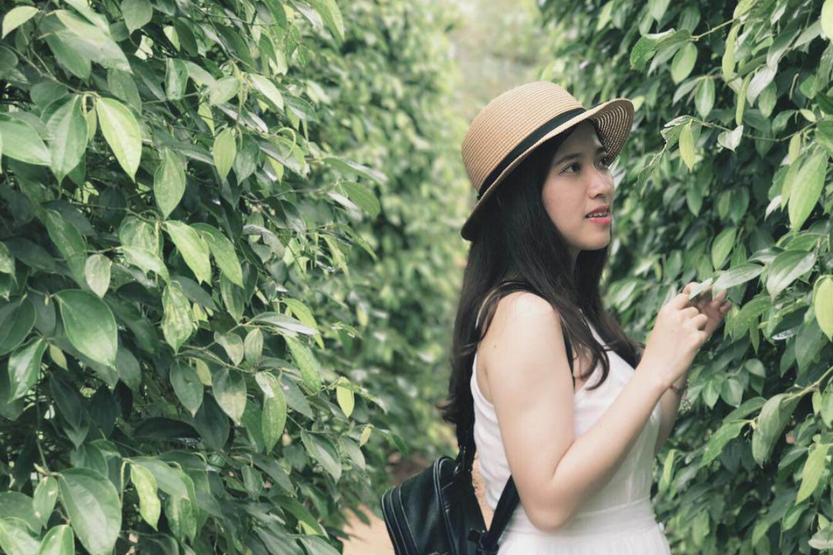 Pepper farm in Phu Quoc